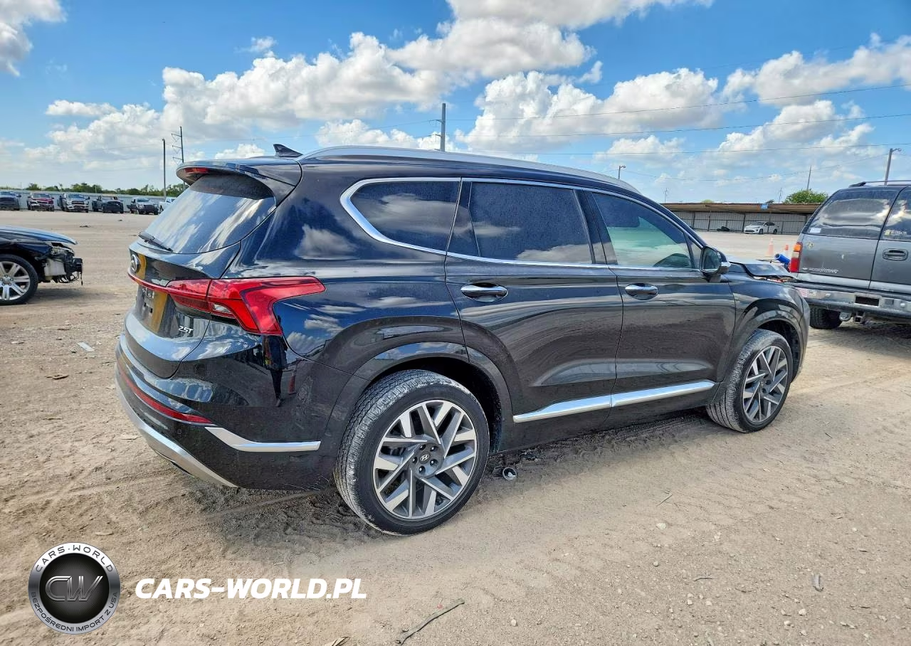 2022 Hyundai Santa Fe Calligraphy VIN:5NMS54ALXNH411195 - 3