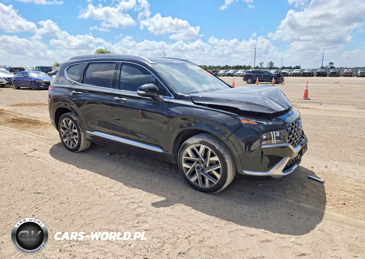 2022 Hyundai Santa Fe Calligraphy VIN:5NMS54ALXNH411195 - 4