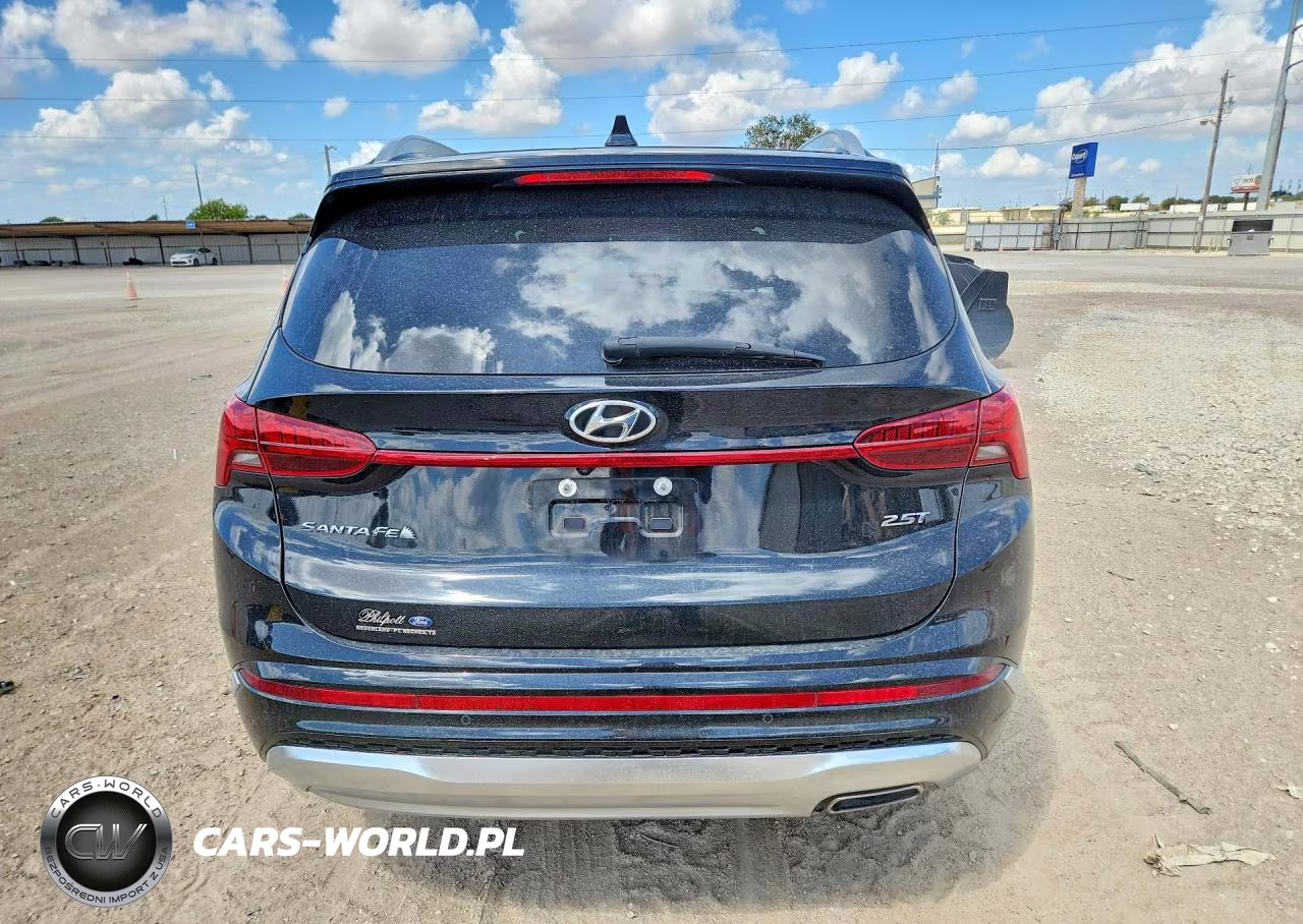 2022 Hyundai Santa Fe Calligraphy VIN:5NMS54ALXNH411195 - 6