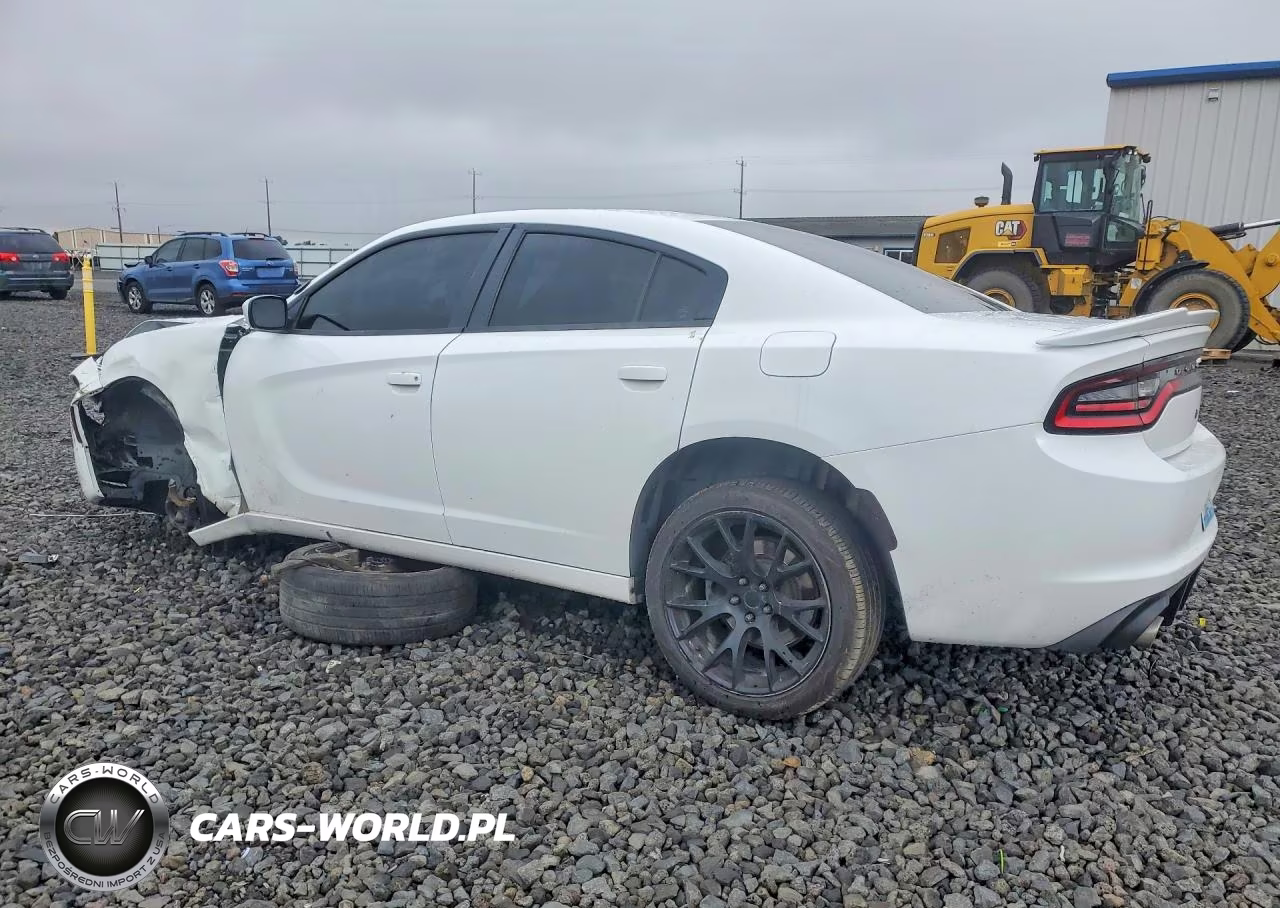 2016 Dodge Charger Police VIN:2C3CDXKT1GH160805 - 2