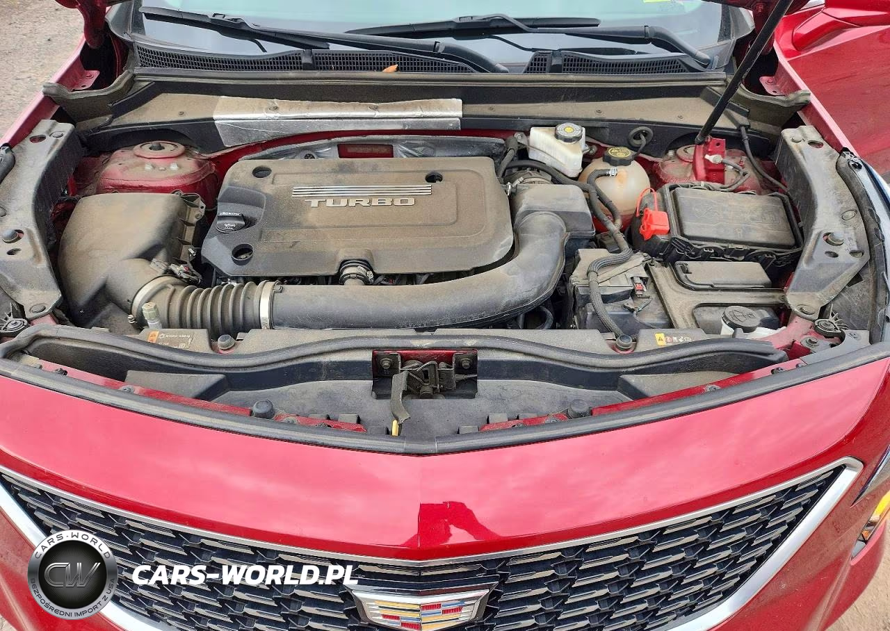 2019 Cadillac Xt4 Luxury VIN:1GYFZBR42KF155113 - 11
