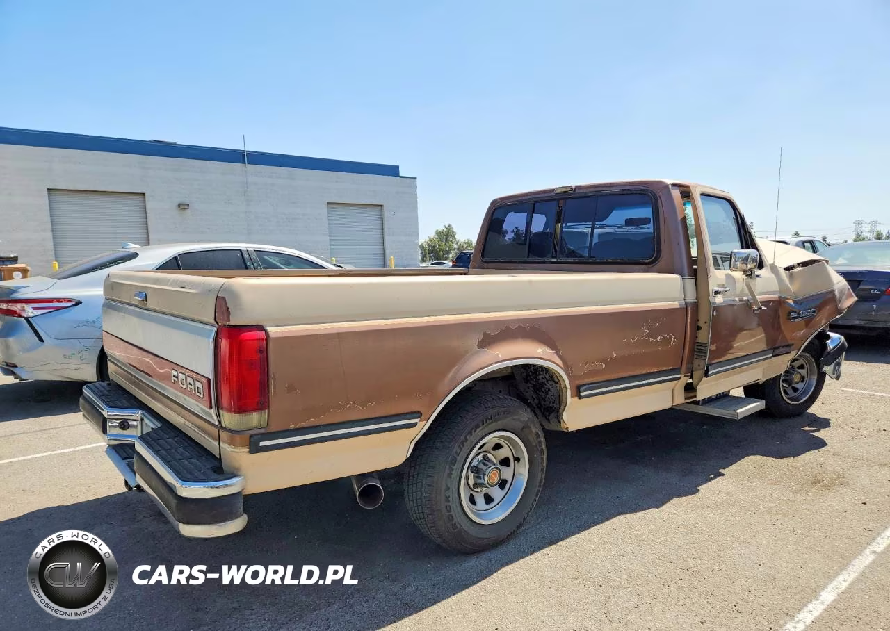 1990 Ford F150 VIN:1FTDF15H0LPA61543 - 3