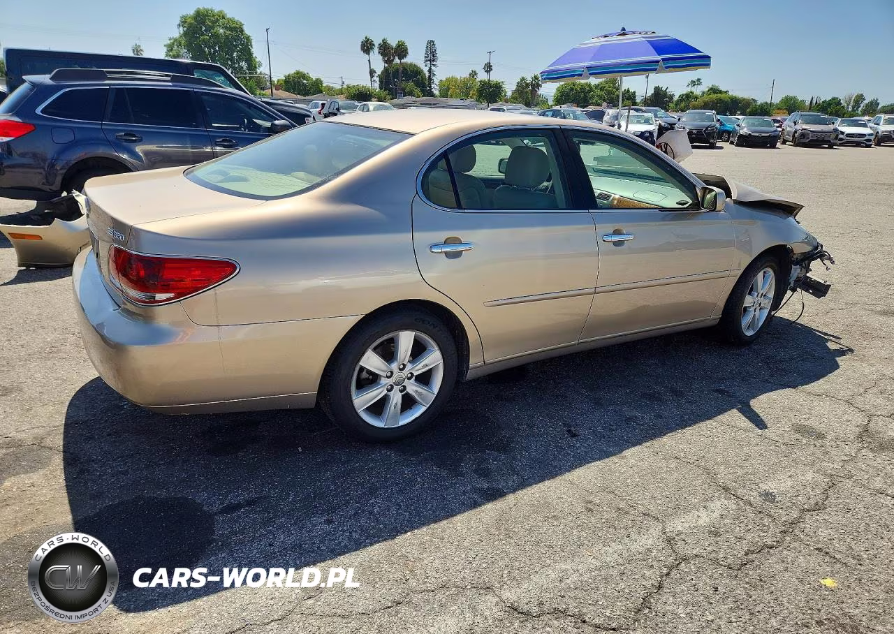 2006 Lexus Es 330 VIN:JTHBA30G565154671 - 3