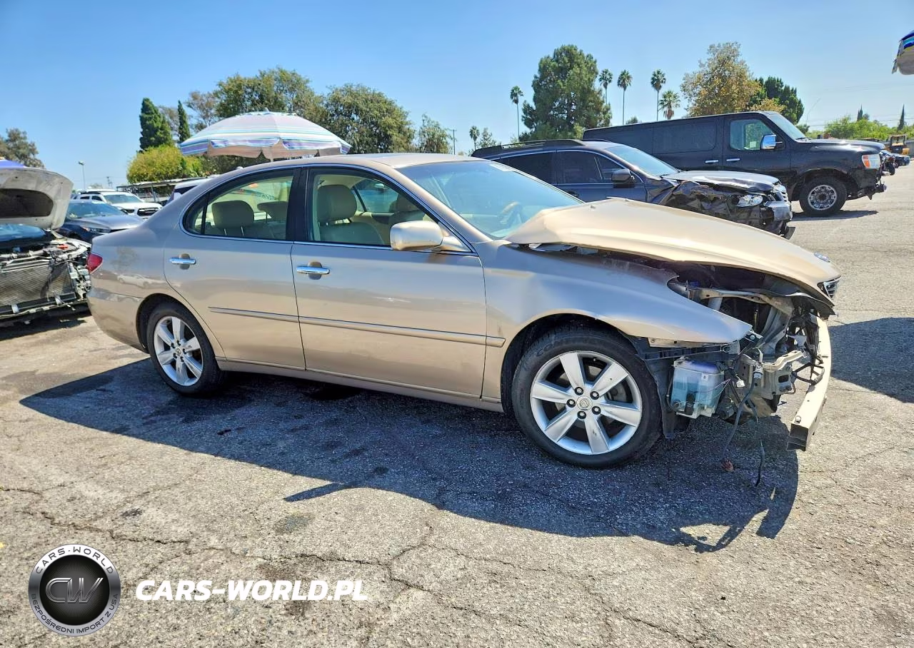 2006 Lexus Es 330 VIN:JTHBA30G565154671 - 4