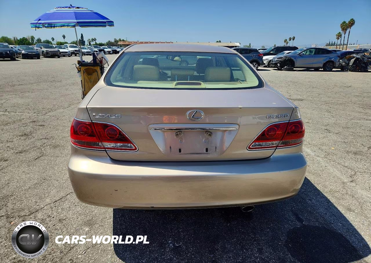 2006 Lexus Es 330 VIN:JTHBA30G565154671 - 6