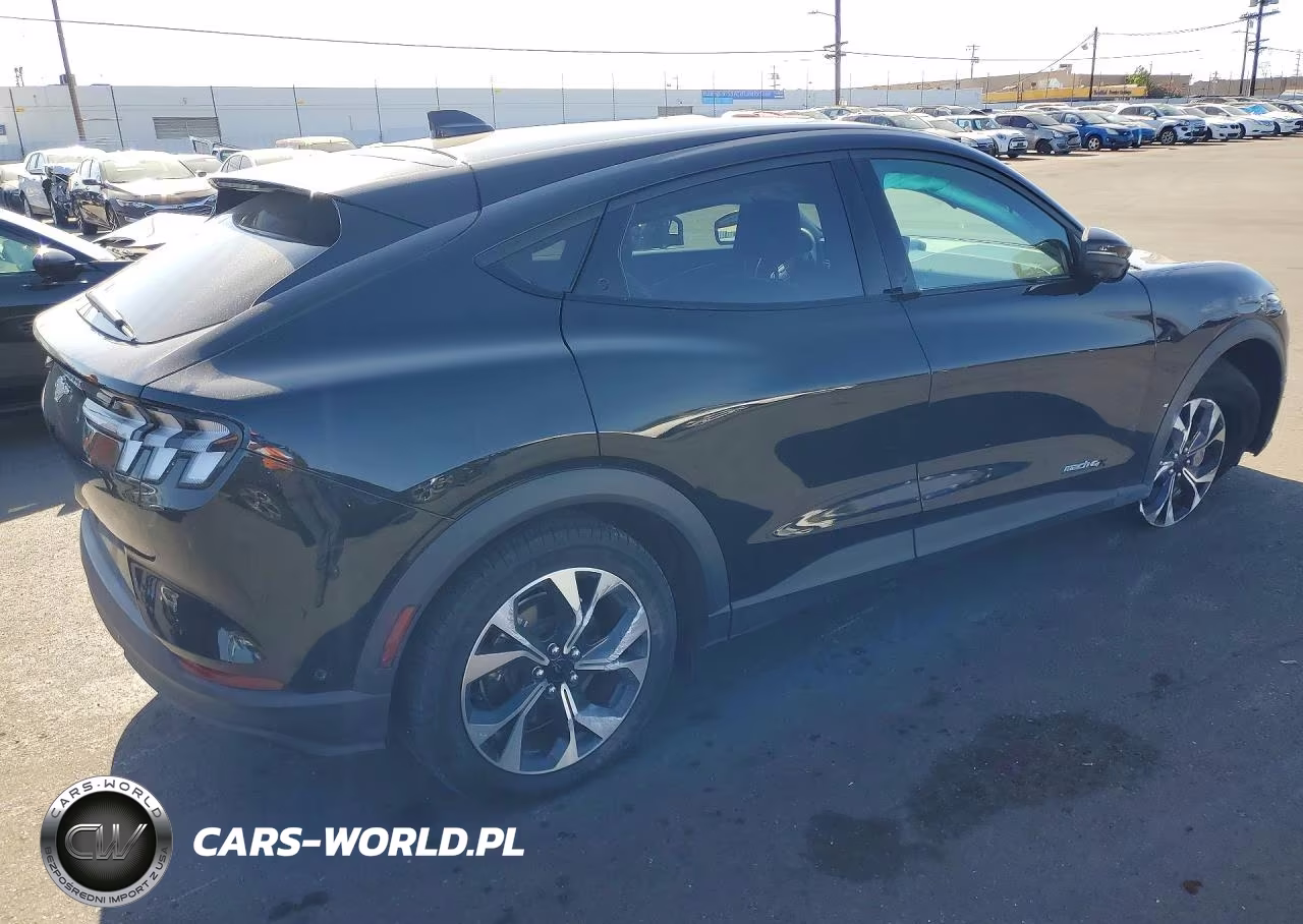 2024 Ford Mustang Mach-E Select VIN:3FMTK1SUXRMA14992 - 3