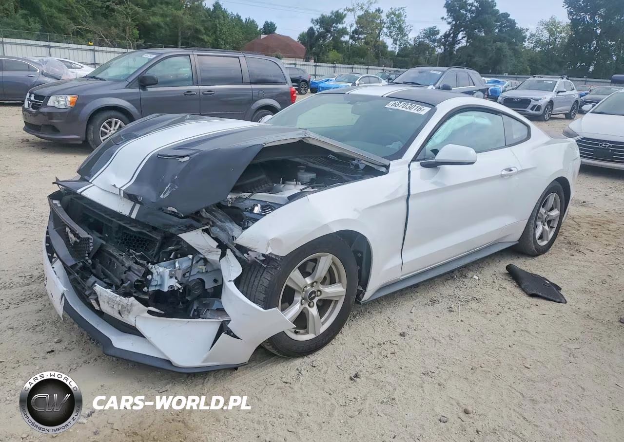 2019 Ford Mustang