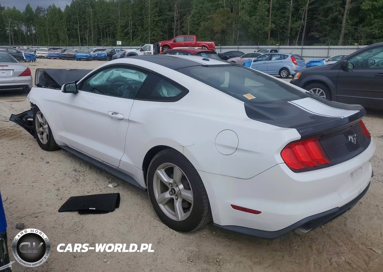 2019 Ford Mustang VIN:1FA6P8TH5K5184725 - 2