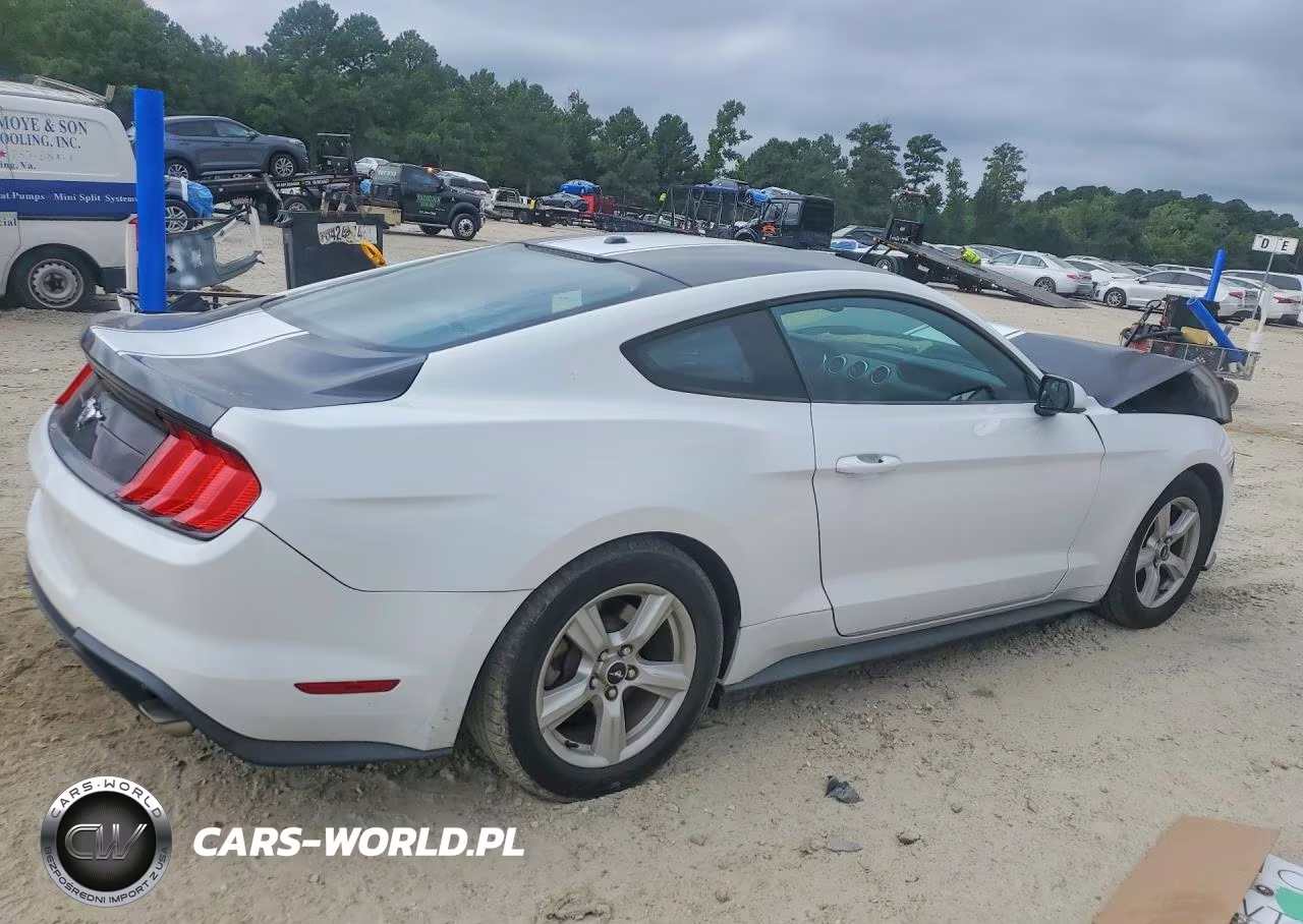 2019 Ford Mustang VIN:1FA6P8TH5K5184725 - 3