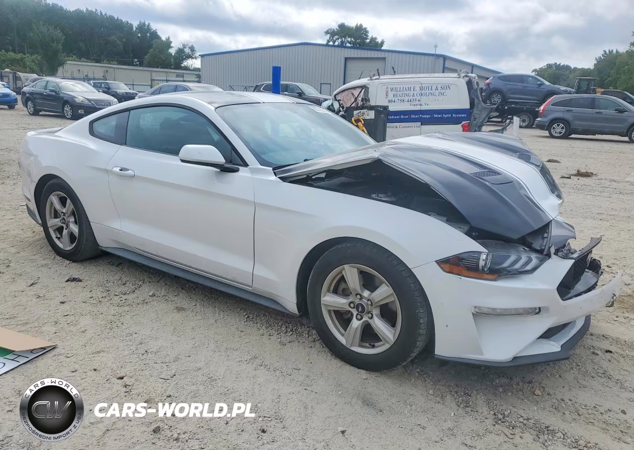 2019 Ford Mustang VIN:1FA6P8TH5K5184725 - 4