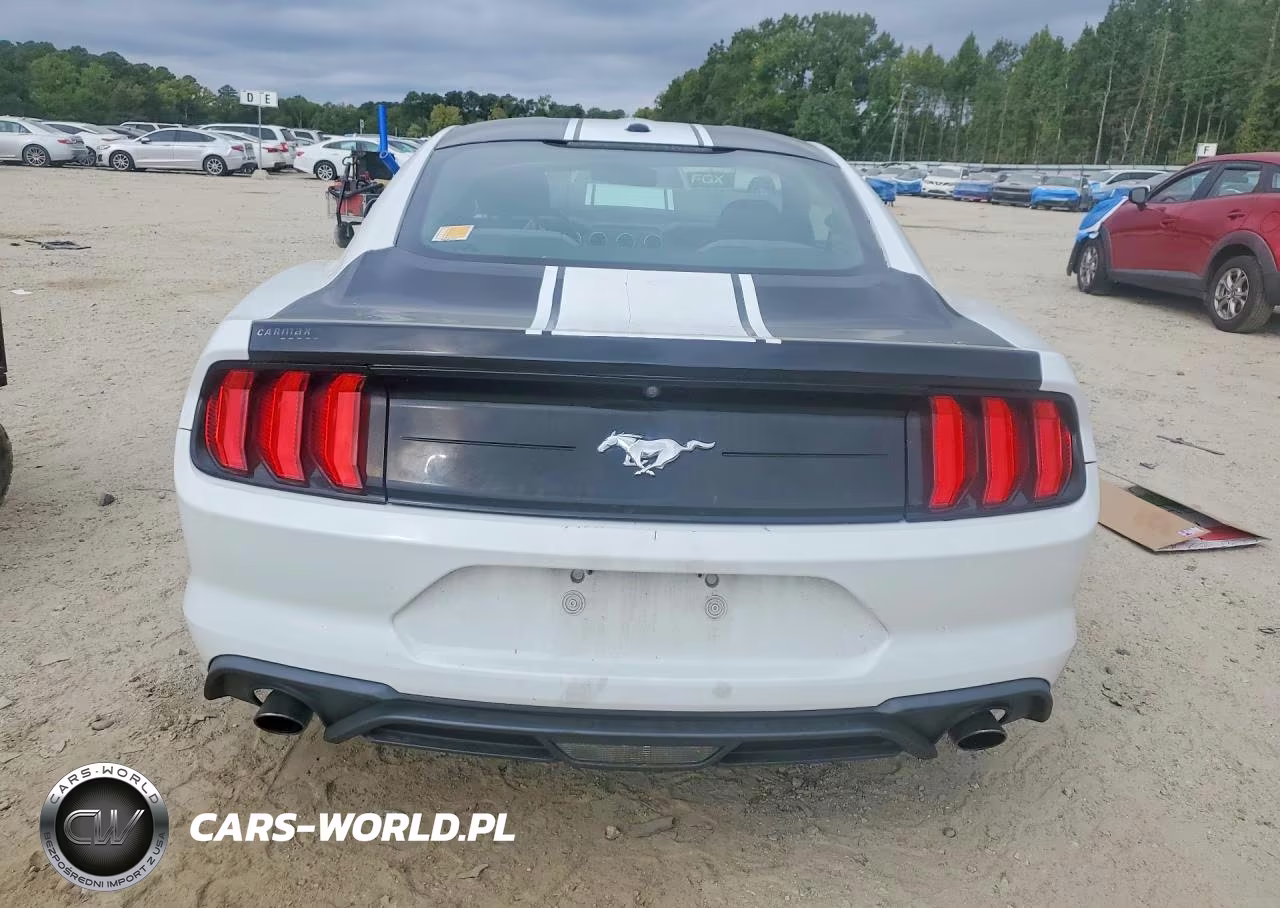 2019 Ford Mustang VIN:1FA6P8TH5K5184725 - 6