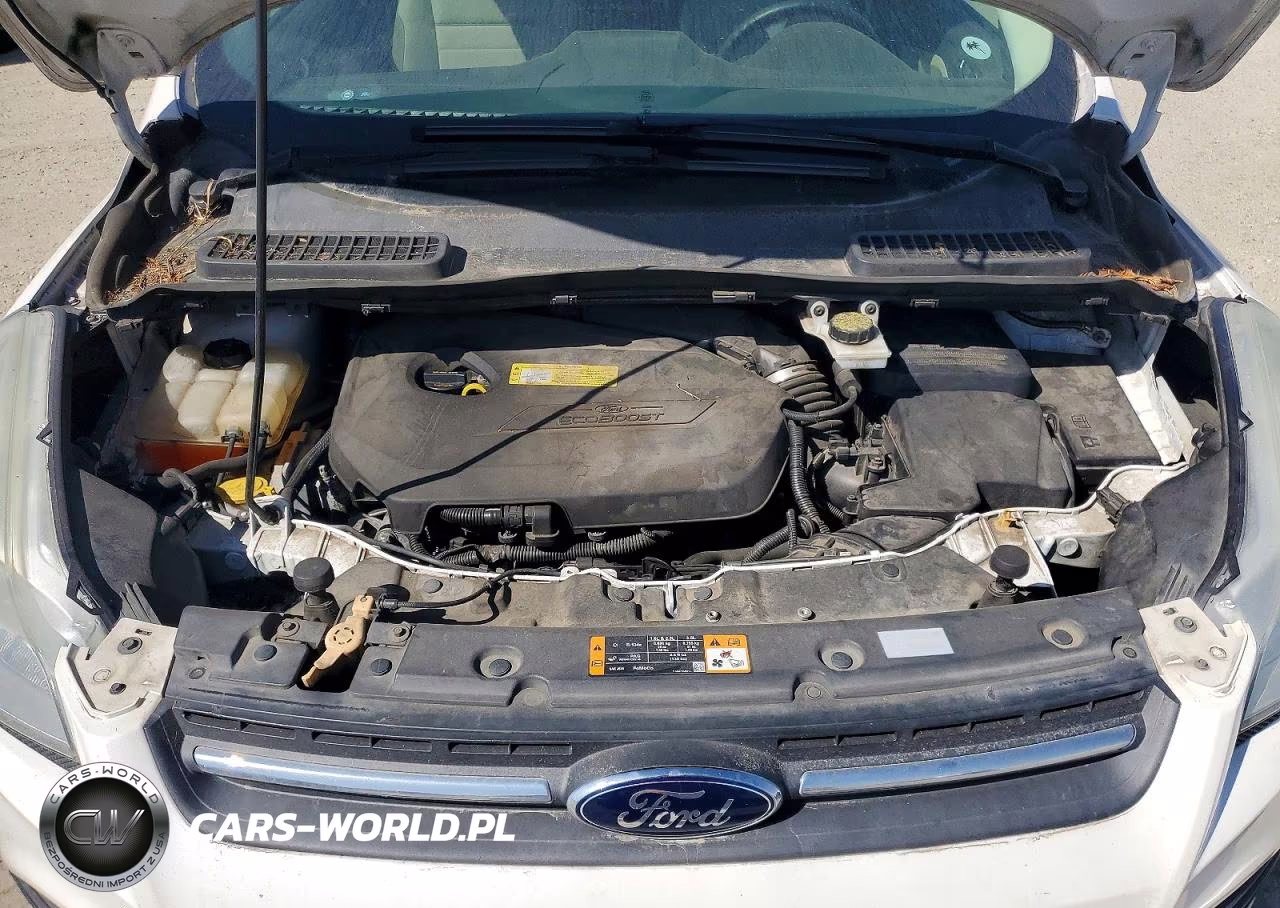 2013 Ford Escape Se VIN:1FMCU9GX9DUA33582 - 11