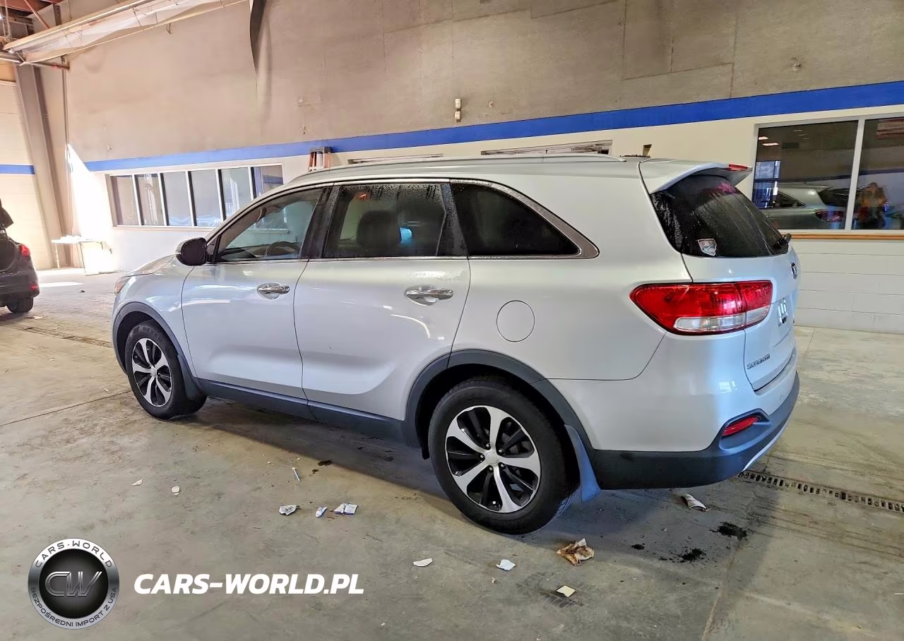 2016 Kia Sorento Ex VIN:5XYPH4A12GG019689 - 2