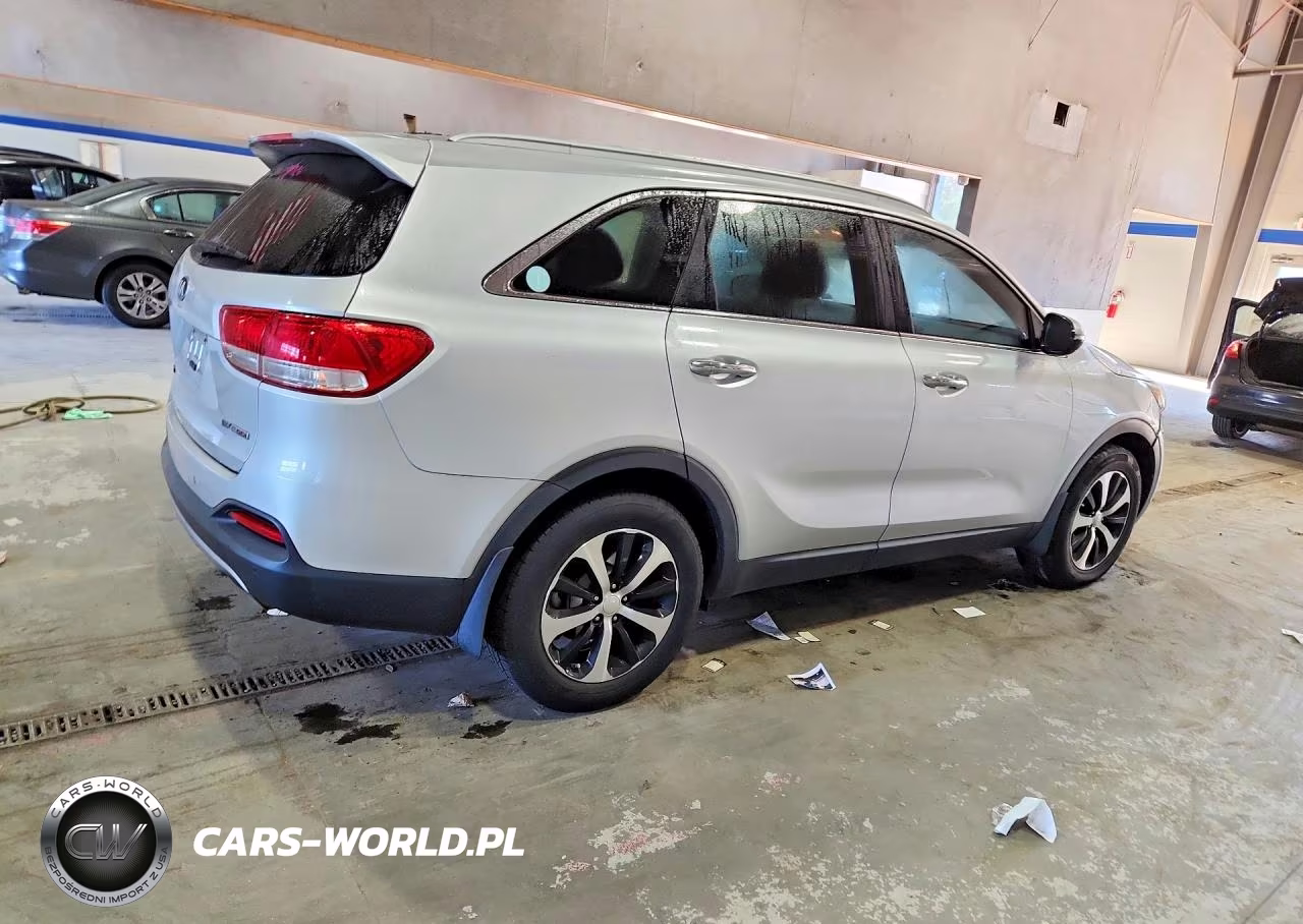 2016 Kia Sorento Ex VIN:5XYPH4A12GG019689 - 3