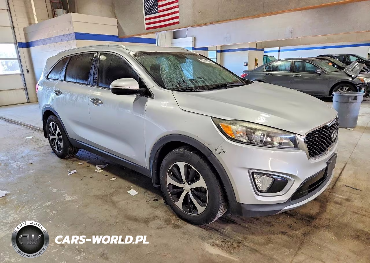 2016 Kia Sorento Ex VIN:5XYPH4A12GG019689 - 4