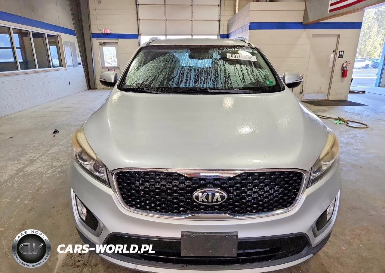 2016 Kia Sorento Ex VIN:5XYPH4A12GG019689 - 5