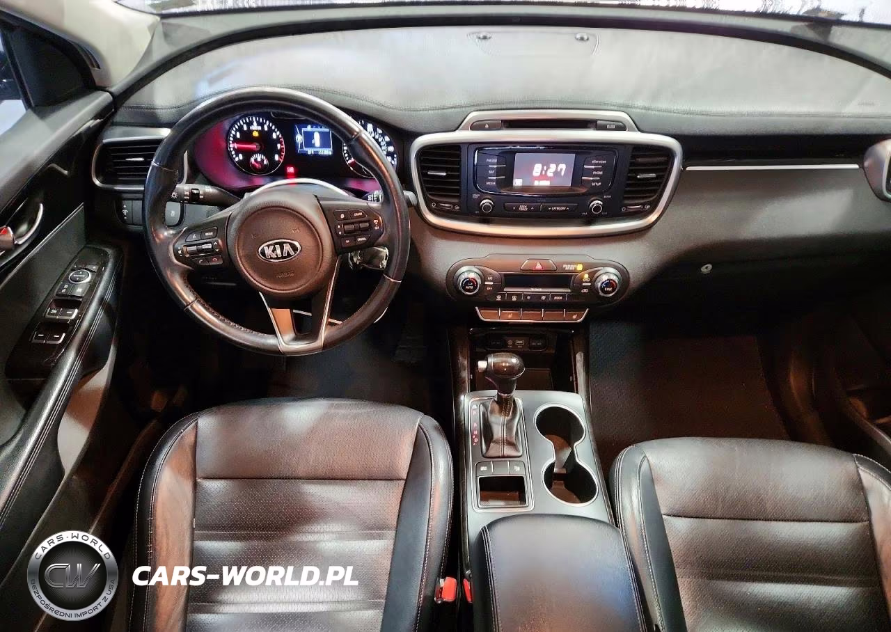 2016 Kia Sorento Ex VIN:5XYPH4A12GG019689 - 8
