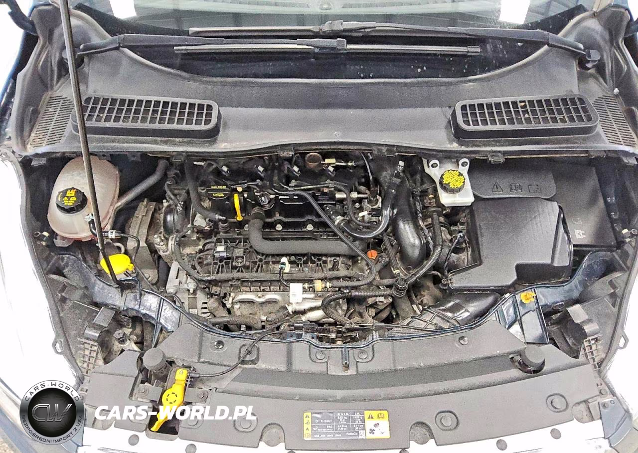 2019 Ford Escape Se VIN:1FMCU9GD7KUC00282 - 11