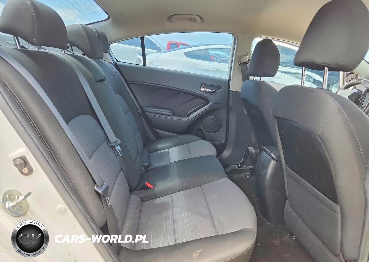 2015 Kia Forte Lx VIN:KNAFX4A60F5384080 - 10