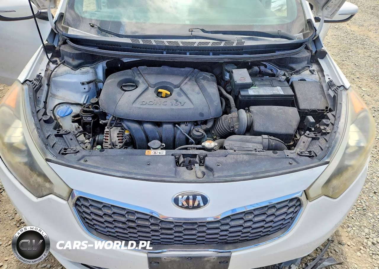 2015 Kia Forte Lx VIN:KNAFX4A60F5384080 - 11