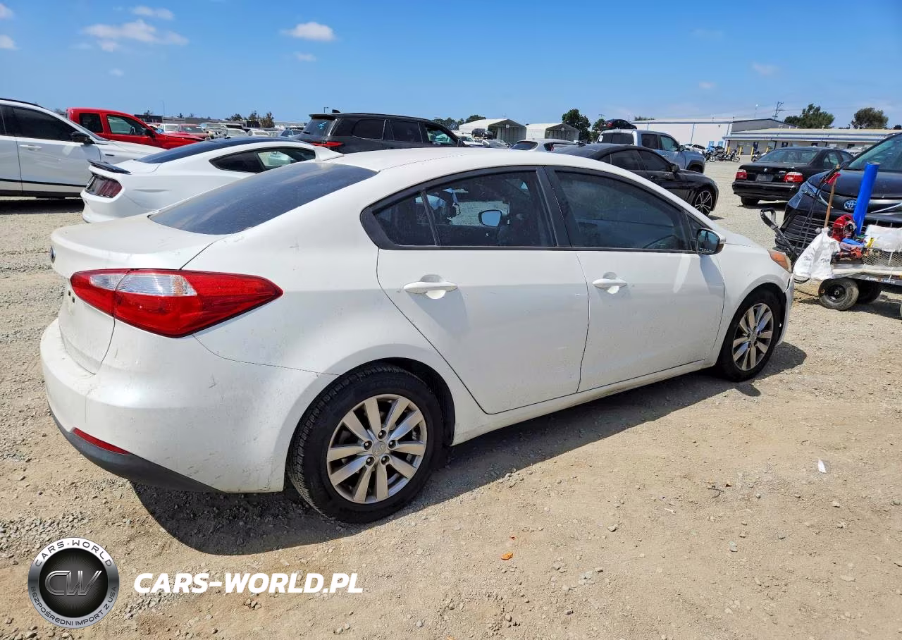 2015 Kia Forte Lx VIN:KNAFX4A60F5384080 - 3