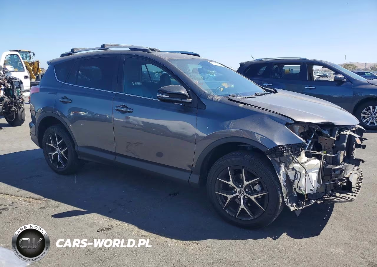 2016 Toyota Rav4 Se VIN:2T3NFREV3GW274764 - 4