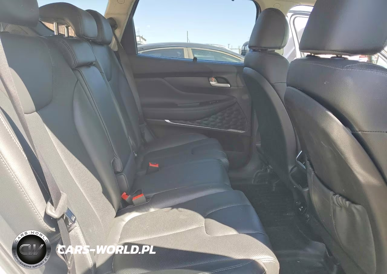 2020 Hyundai Santa Fe Limited VIN:5NMS53AD9LH301626 - 10