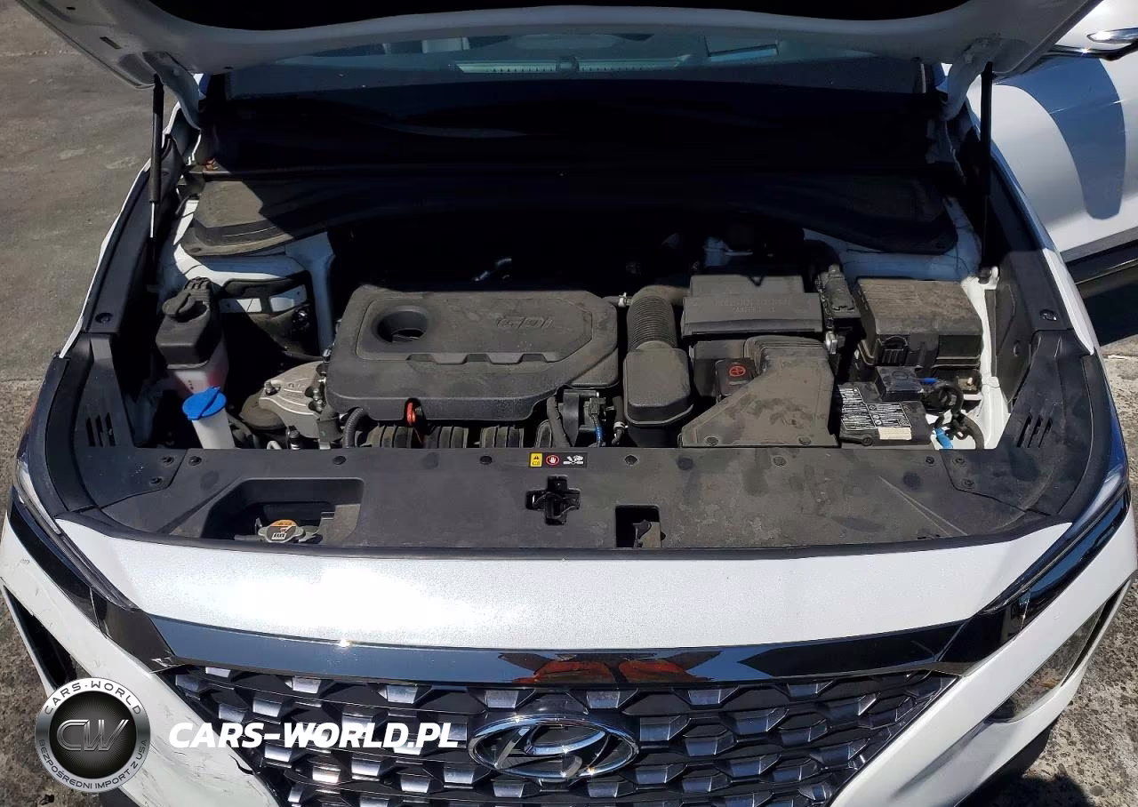 2020 Hyundai Santa Fe Limited VIN:5NMS53AD9LH301626 - 11