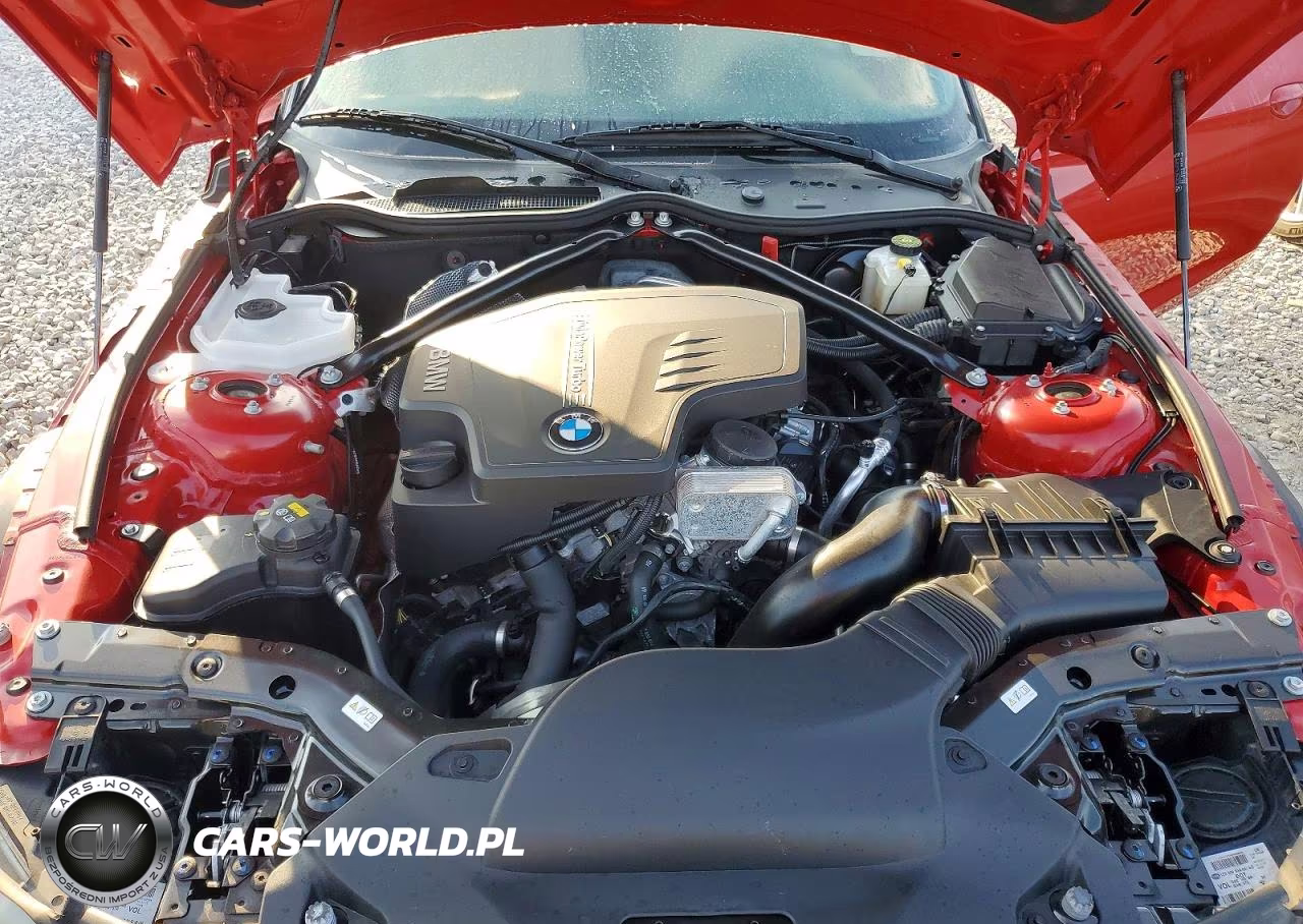 2016 BMW Z4 Sdrive28I VIN:WBALL5C59G5A21130 - 11