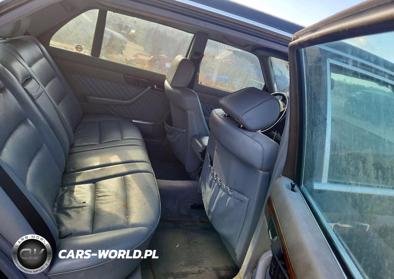 1991 Mercedes-Benz 560 Sel VIN:WDBCA39EXMA554901 - 10