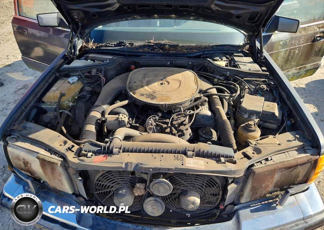 1991 Mercedes-Benz 560 Sel VIN:WDBCA39EXMA554901 - 11