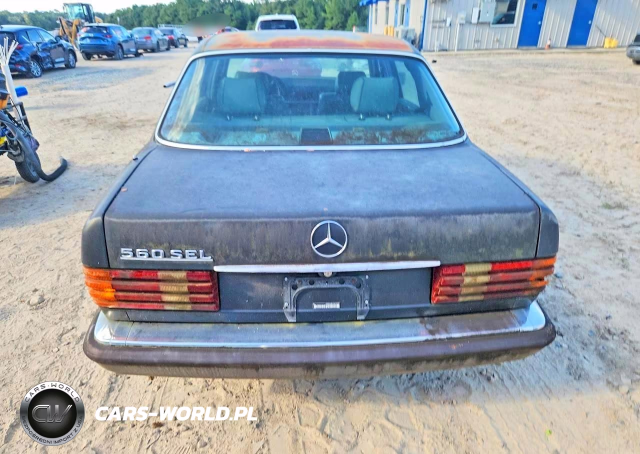 1991 Mercedes-Benz 560 Sel VIN:WDBCA39EXMA554901 - 6