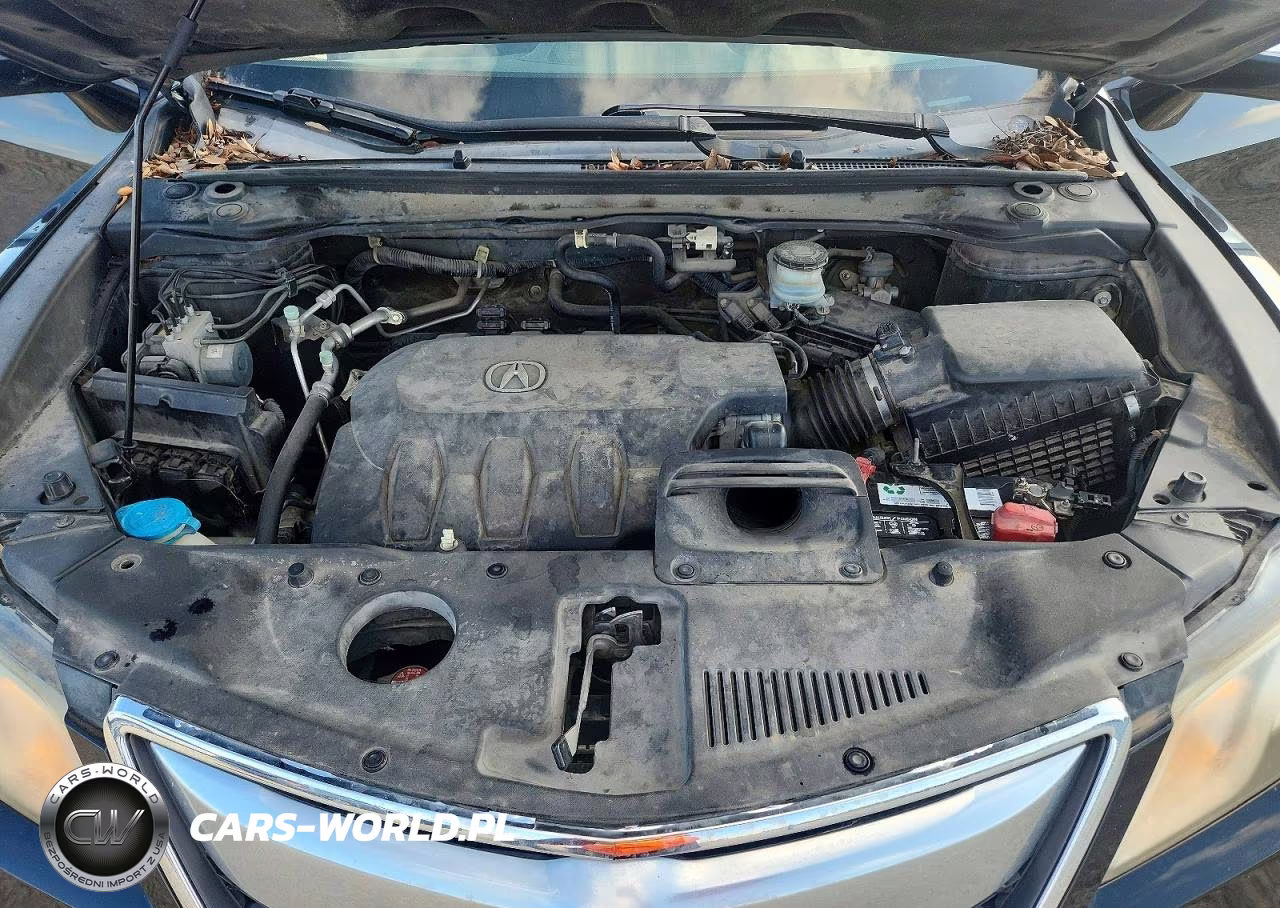 2013 Acura Rdx Technology VIN:5J8TB3H59DL020147 - 11