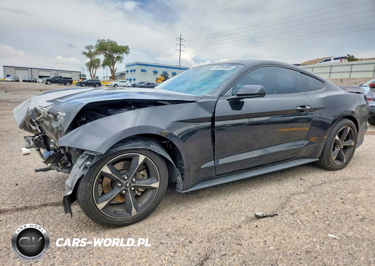2019 Ford Mustang