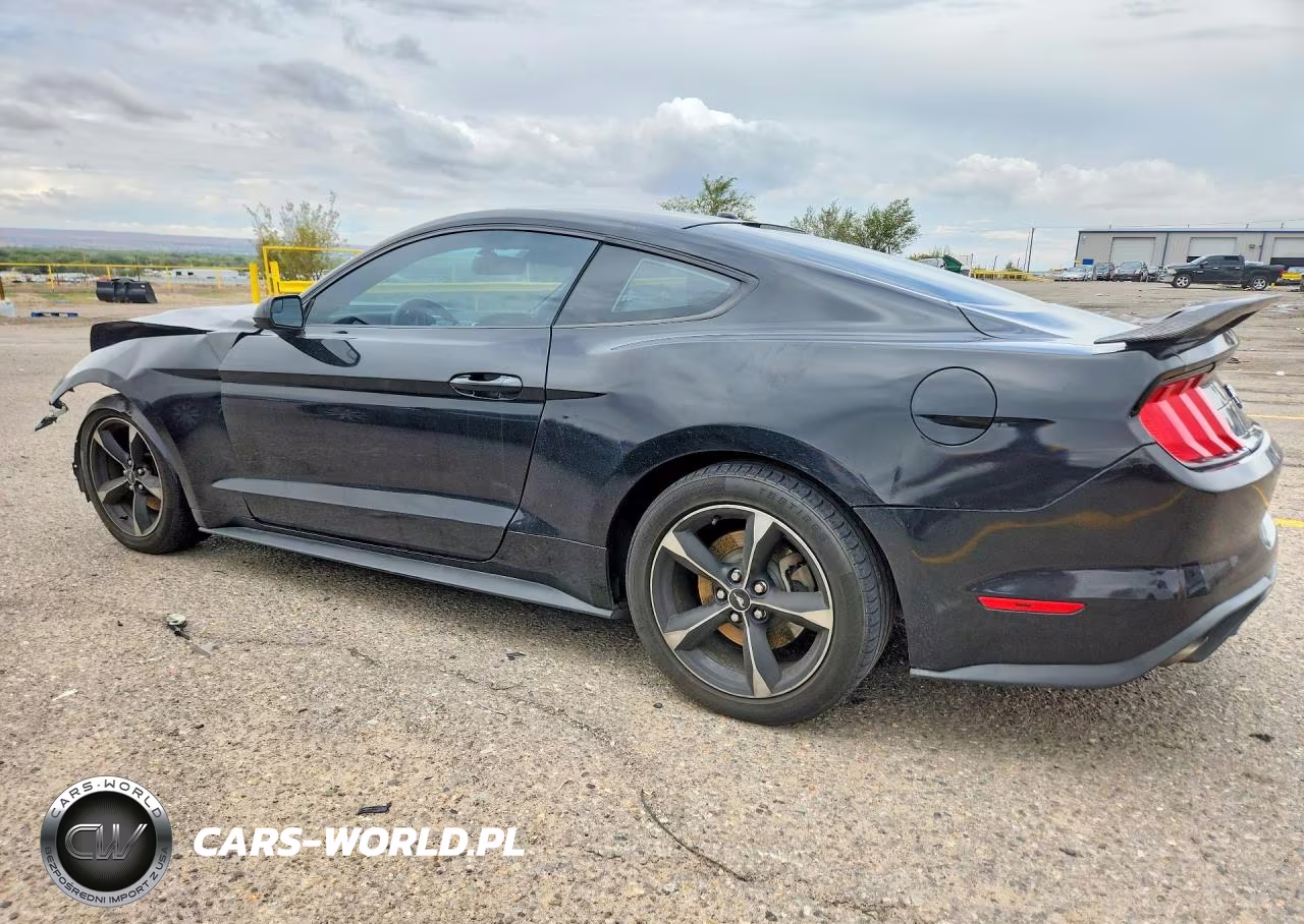 2019 Ford Mustang VIN:1FA6P8TH9K5185554 - 2