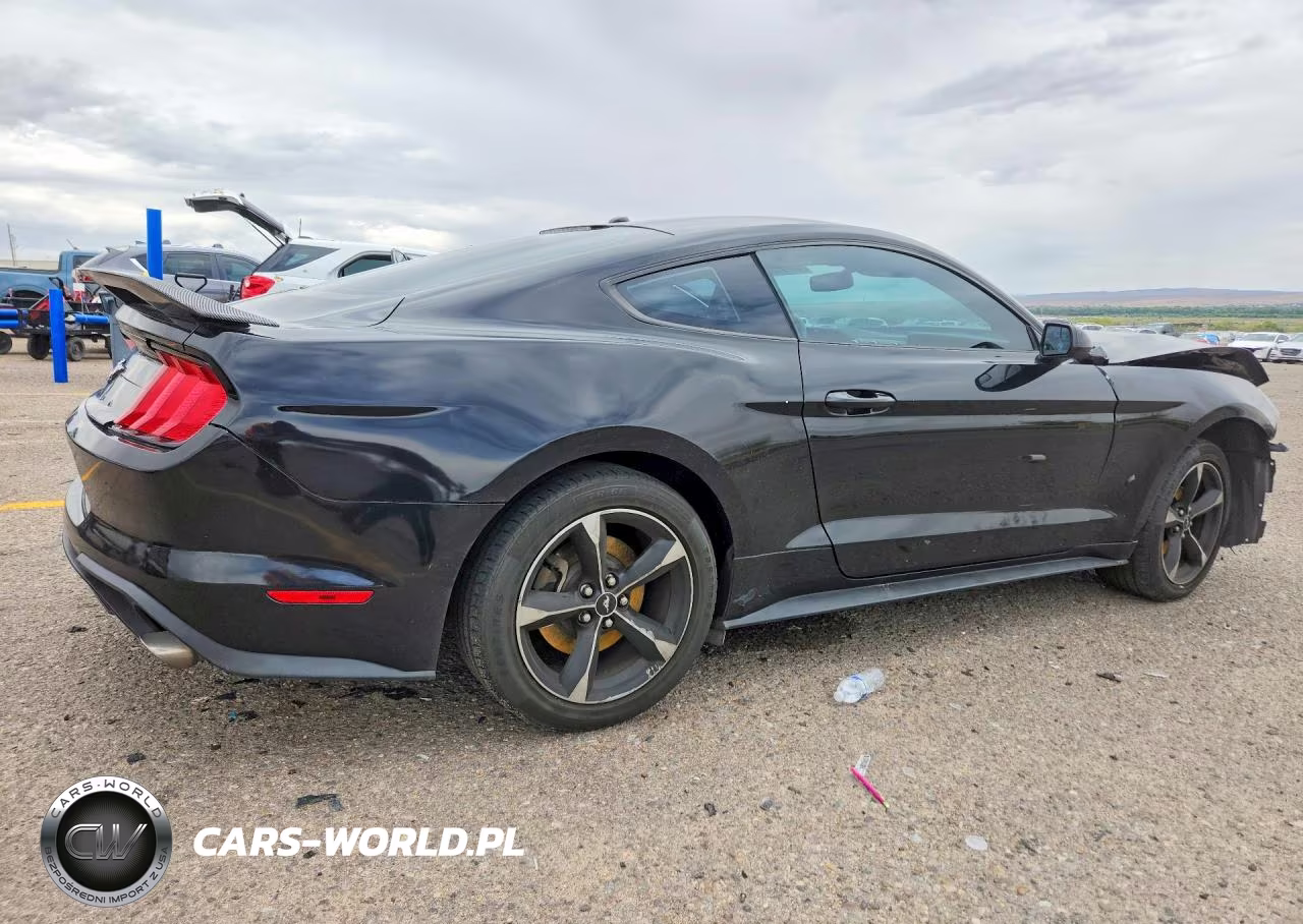 2019 Ford Mustang VIN:1FA6P8TH9K5185554 - 3