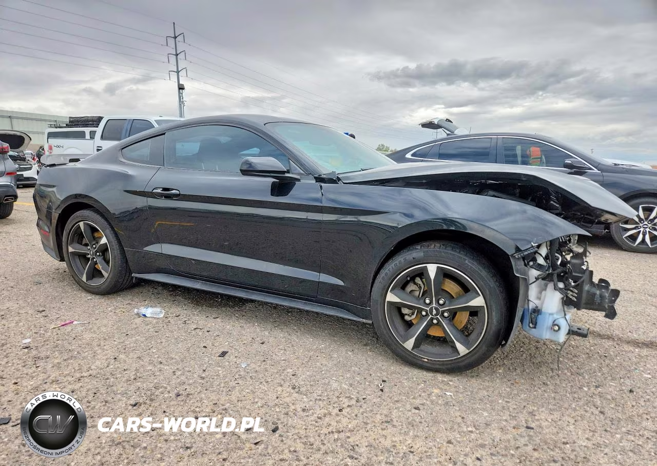 2019 Ford Mustang VIN:1FA6P8TH9K5185554 - 4