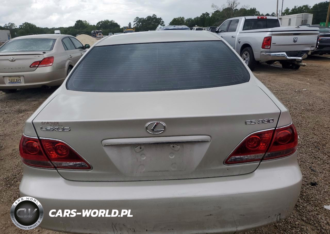 2005 Lexus Es 330 VIN:JTHBA30GX55131174 - 6