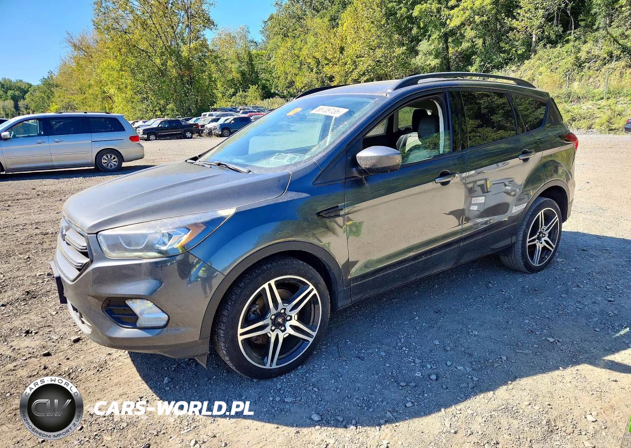 2019 Ford Escape Sel VIN:1FMCU9HD7KUA84886 - 1