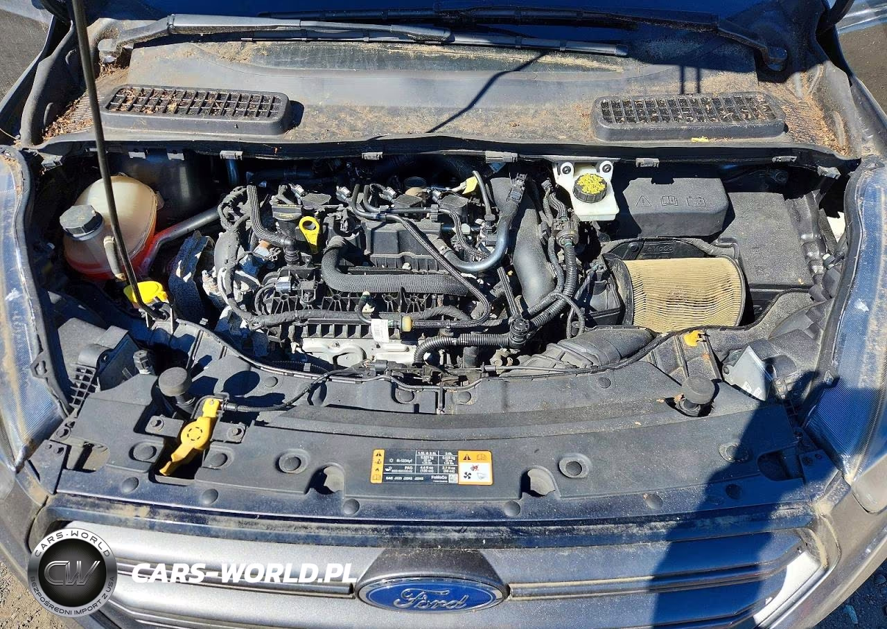 2019 Ford Escape Sel VIN:1FMCU9HD7KUA84886 - 12