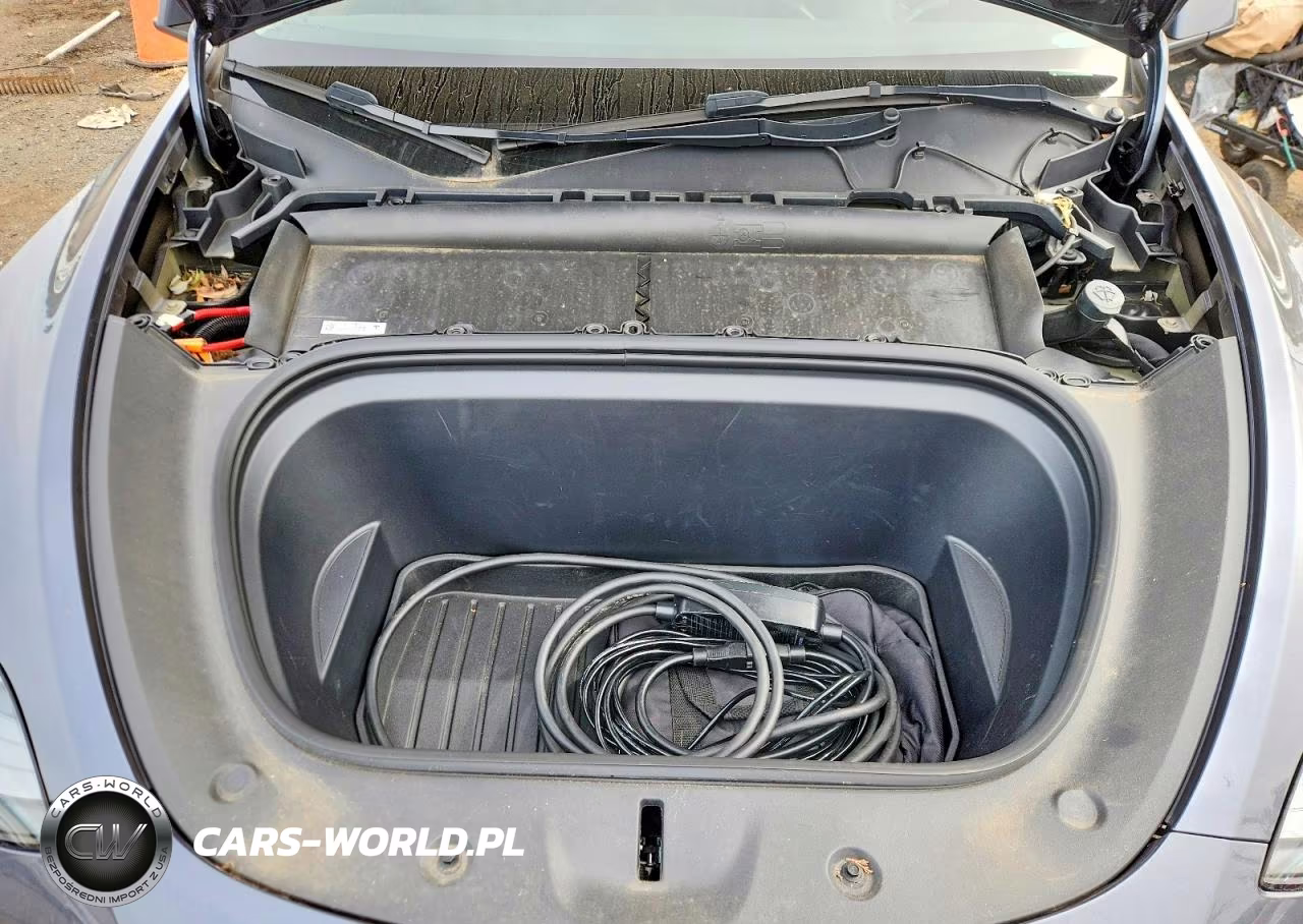 2023 Tesla Model Y VIN:7SAYGDEEXPF890905 - 11