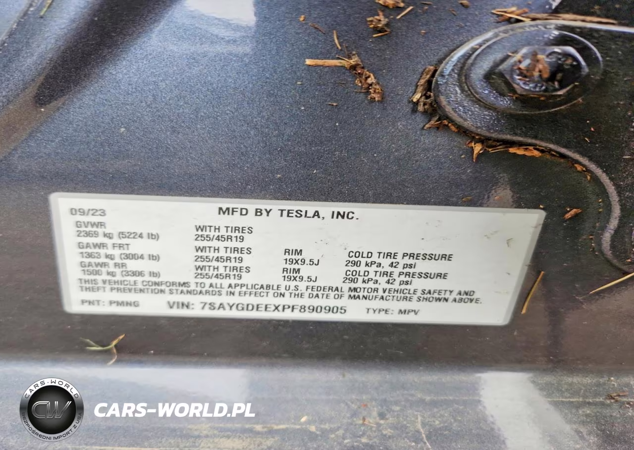 2023 Tesla Model Y VIN:7SAYGDEEXPF890905 - 12