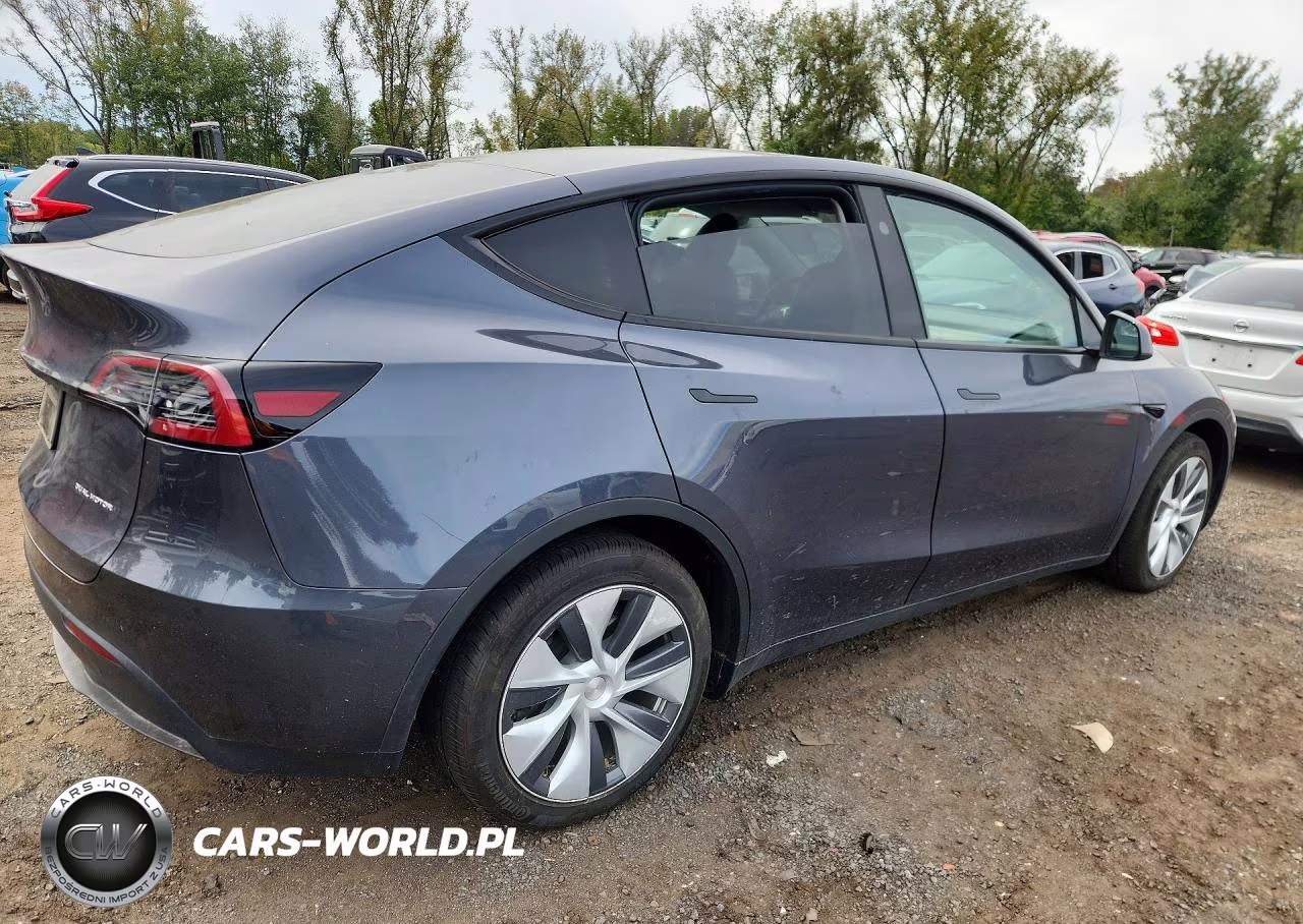 2023 Tesla Model Y VIN:7SAYGDEEXPF890905 - 3
