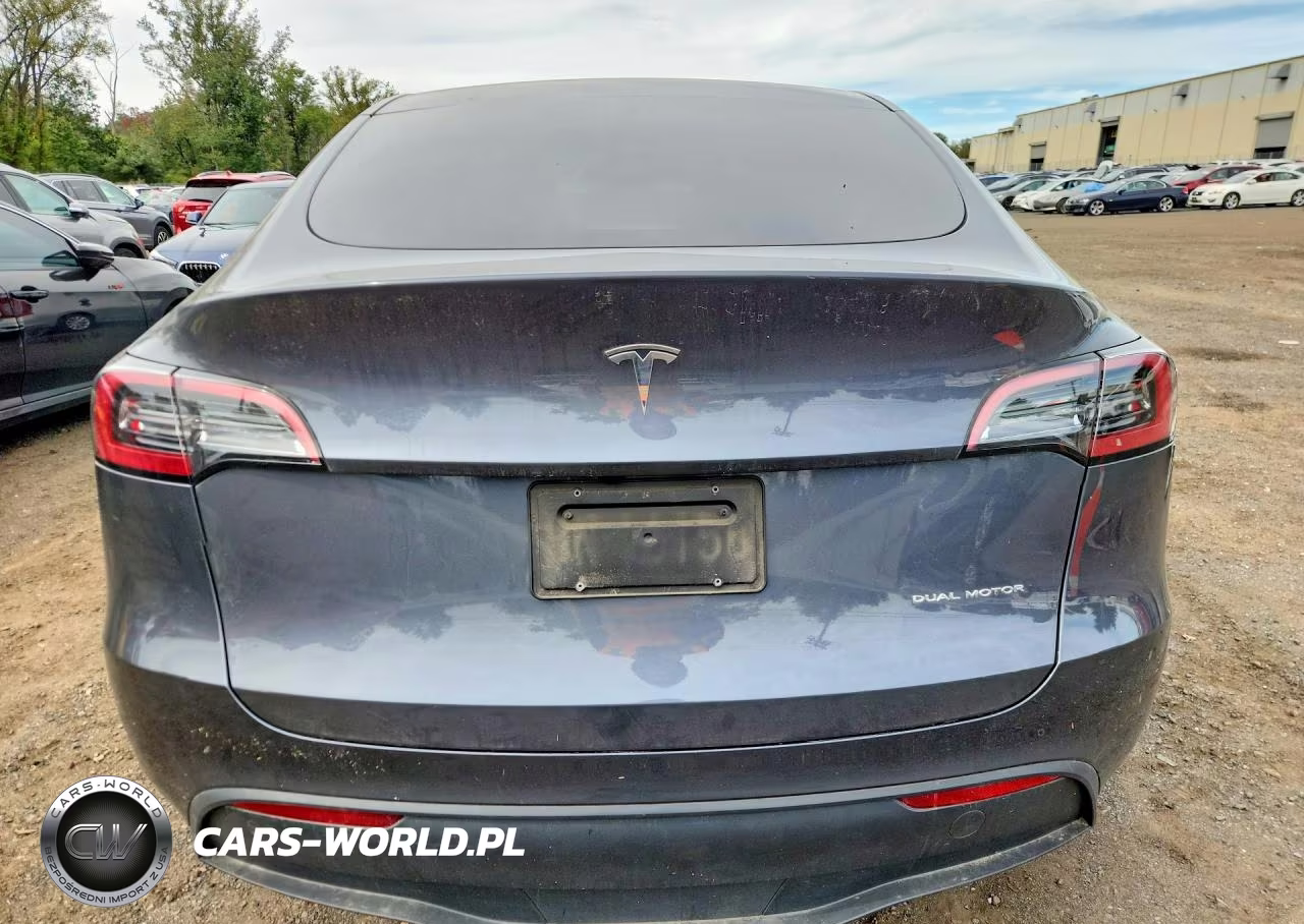 2023 Tesla Model Y VIN:7SAYGDEEXPF890905 - 6