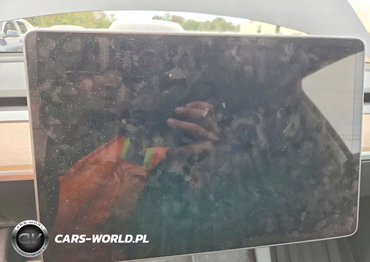 2023 Tesla Model Y VIN:7SAYGDEEXPF890905 - 9