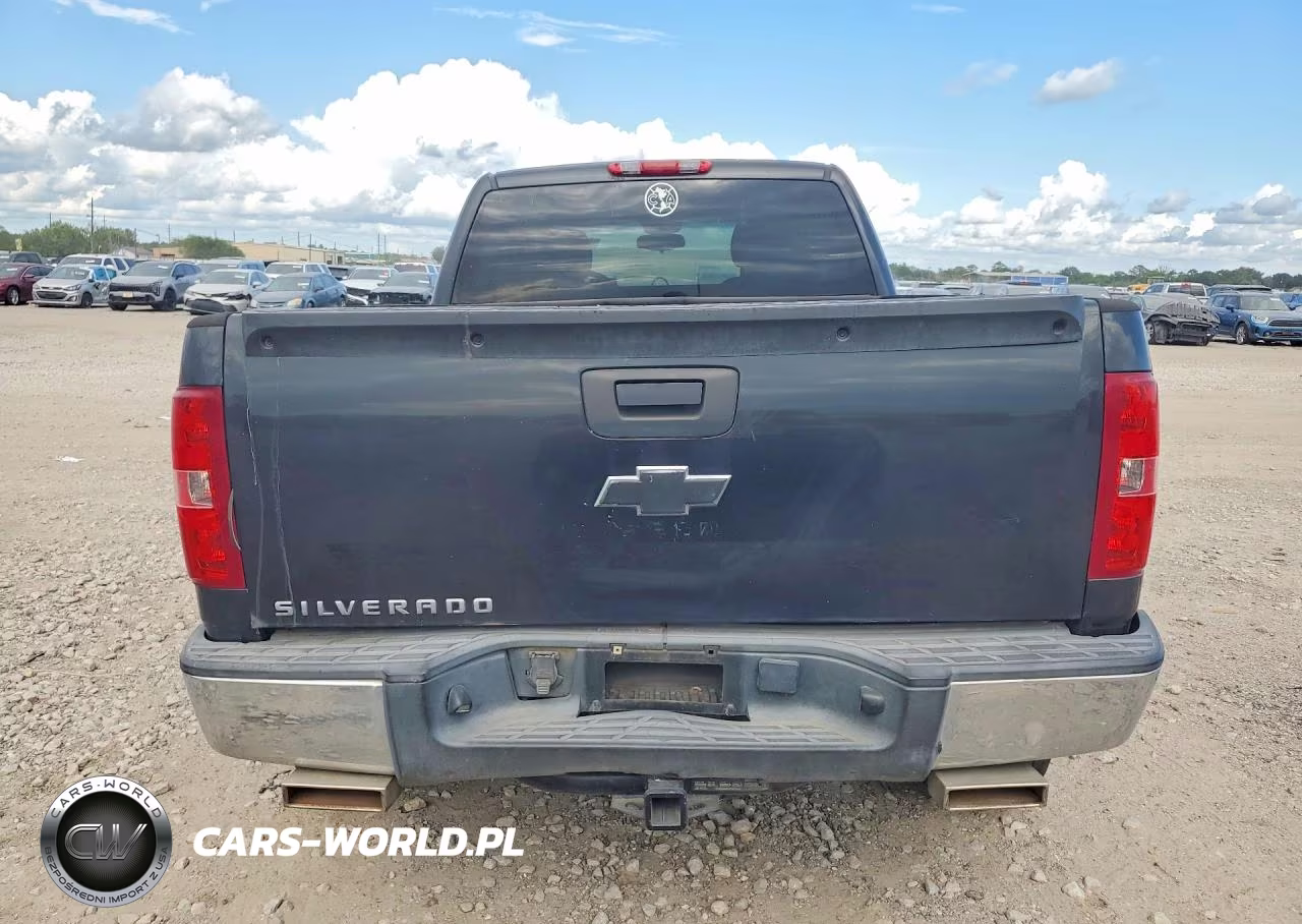2009 Chevrolet Silverado C1500 VIN:1GCEC19CX9Z231237 - 6