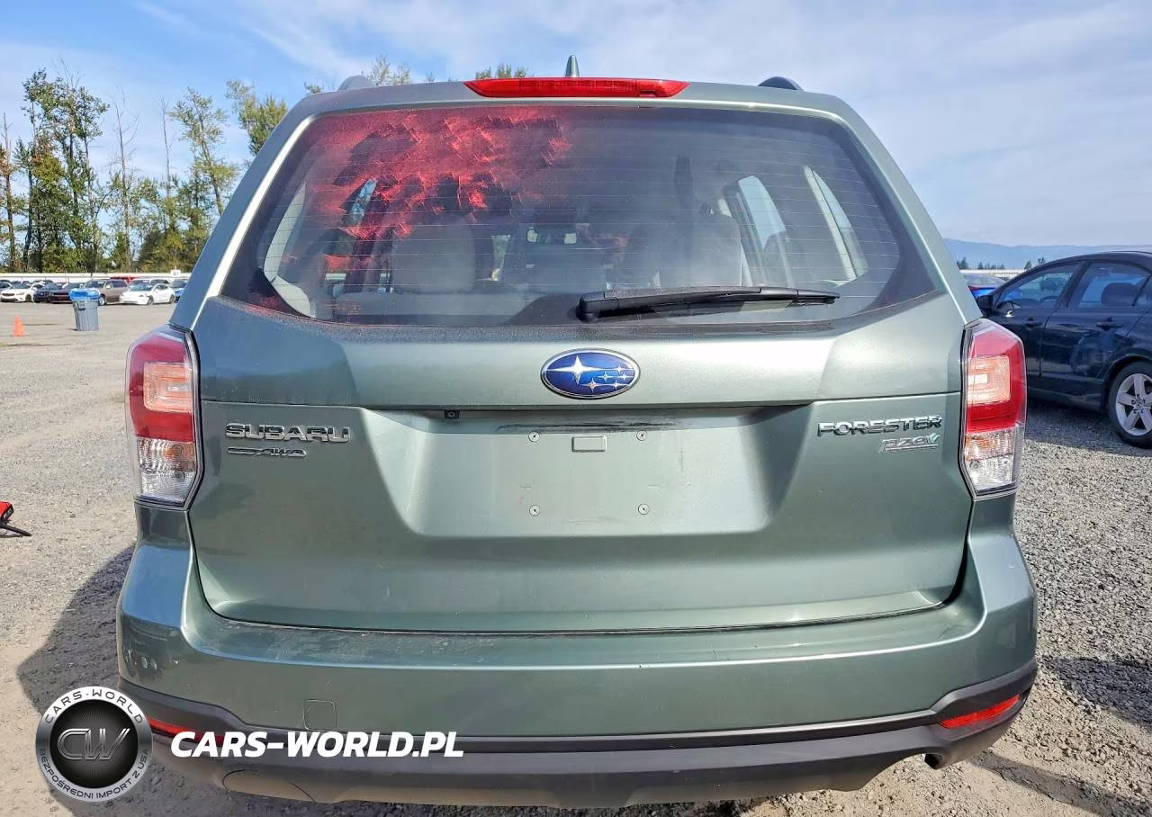 2017 Subaru Forester 2.5I VIN:JF2SJABC9HH470769 - 6