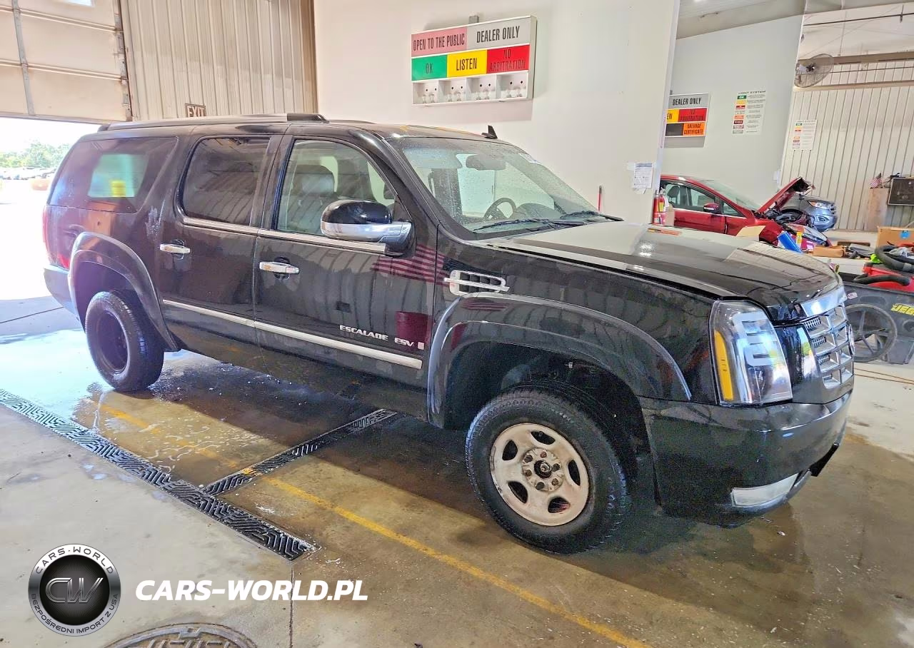 2009 Cadillac Escalade Esv Luxury VIN:1GYFK26299R143475 - 4