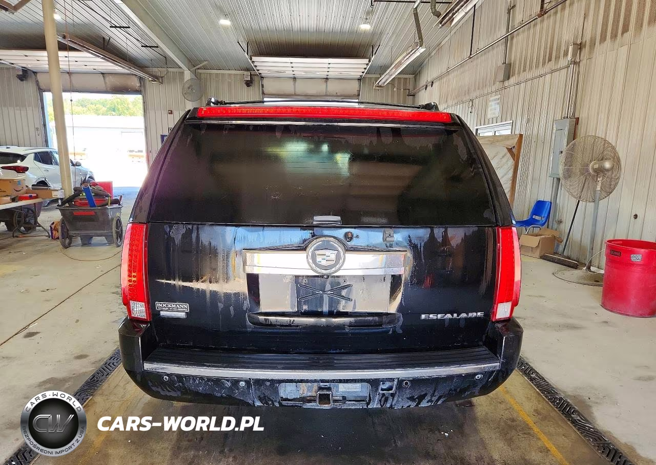 2009 Cadillac Escalade Esv Luxury VIN:1GYFK26299R143475 - 6