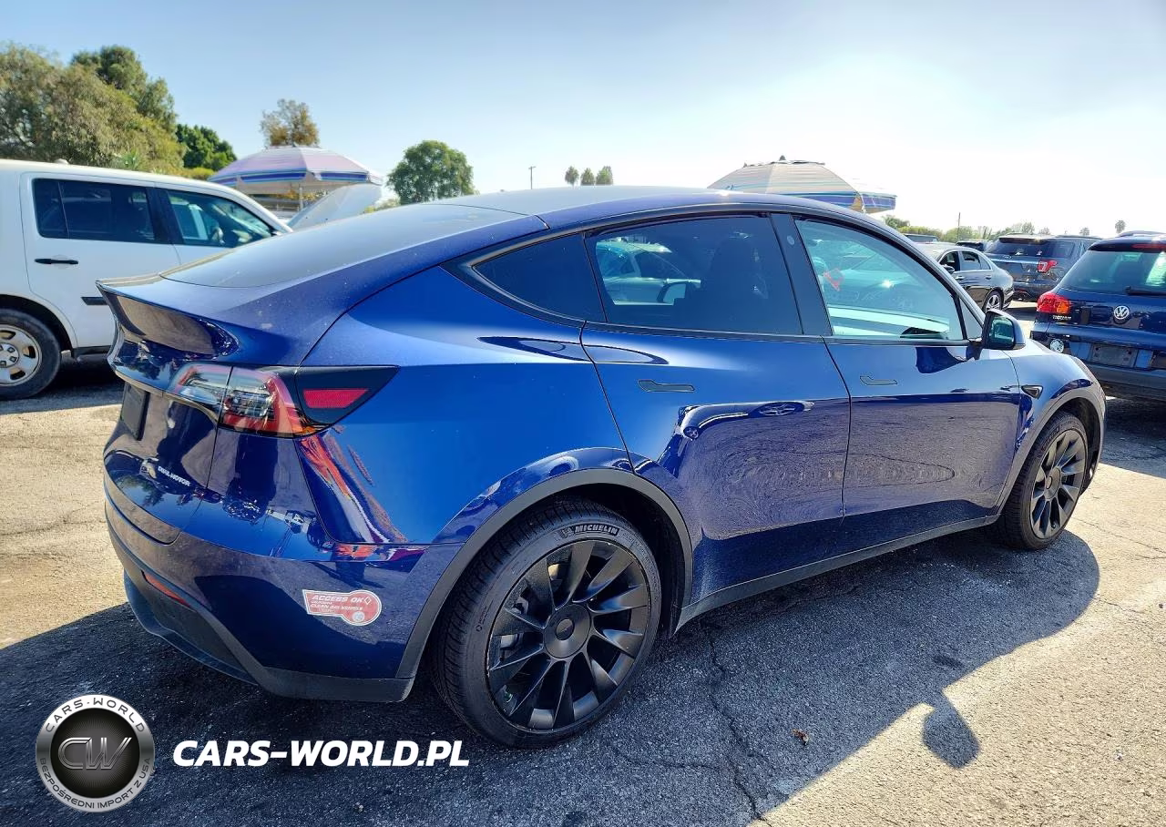 2023 Tesla Model Y VIN:7SAYGDEE7PA029730 - 3